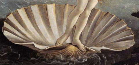 botticelli venus detail.jpg